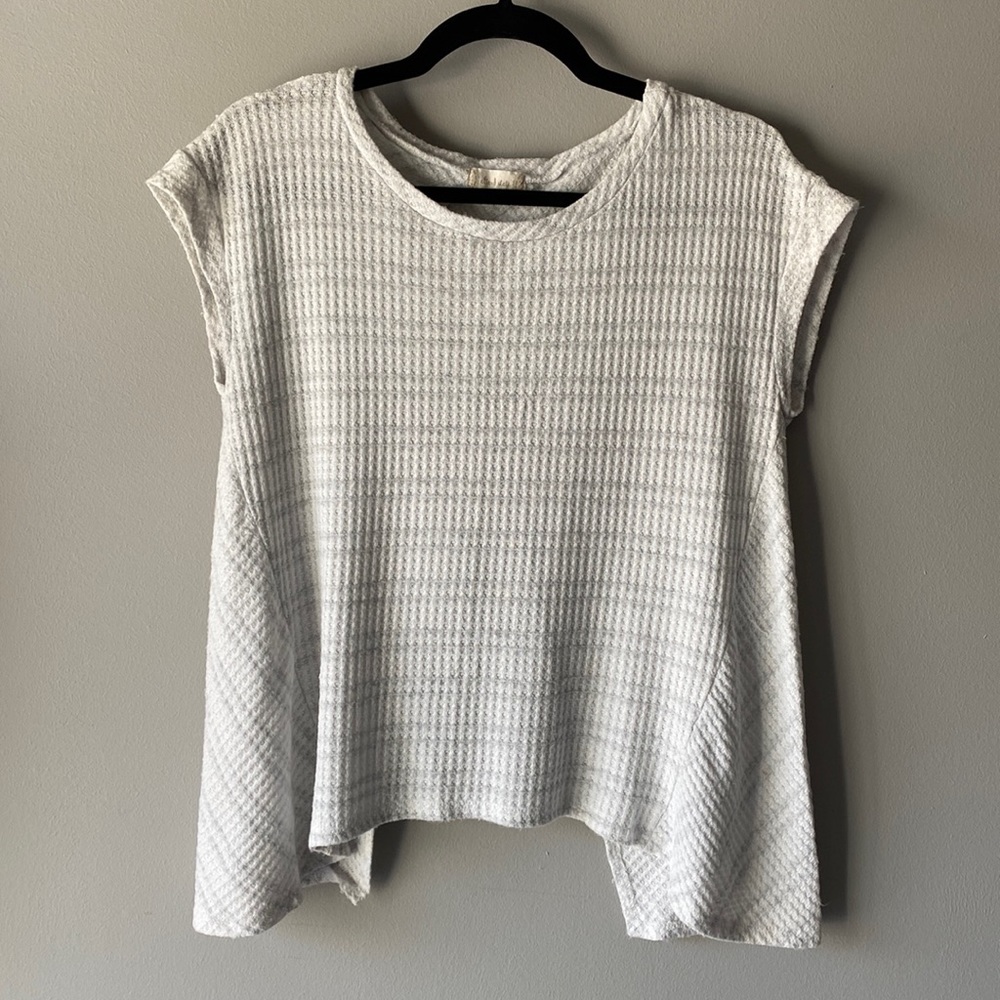 Altar'd State - short sleeve open back sweater